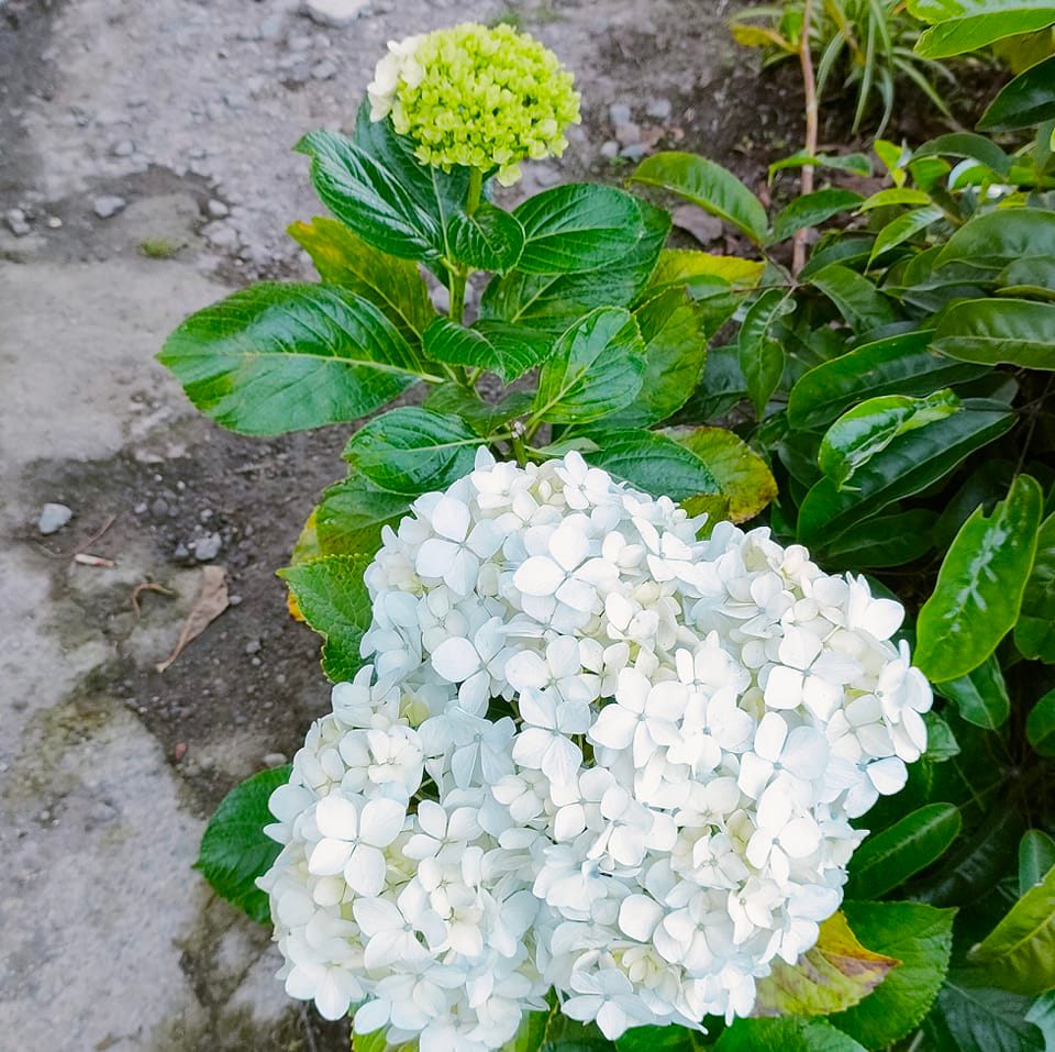 Indah Aja Dech