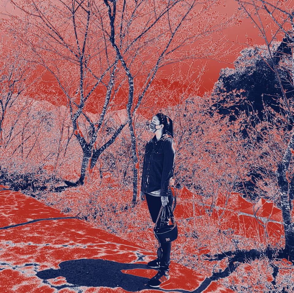 張天雷