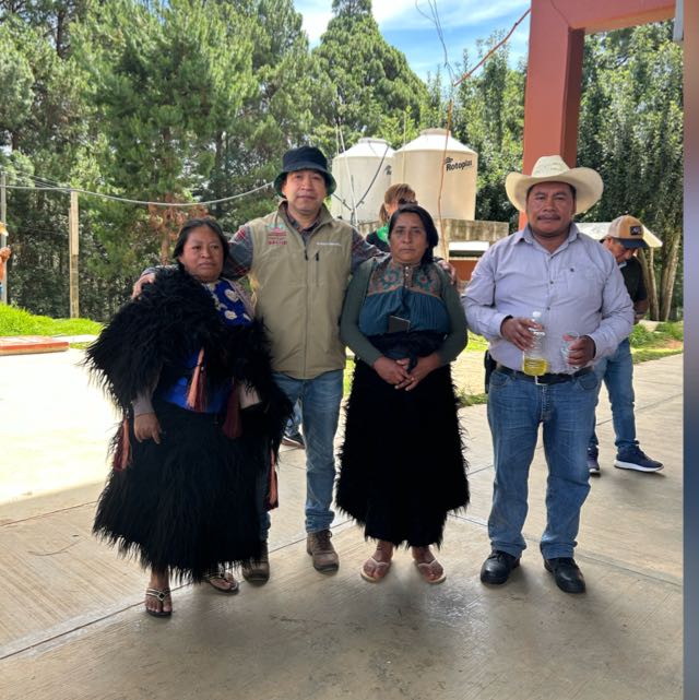 16 pichones de esas Codorniz en San Cristóbal, 6,500pesos 849-565-3107 ...