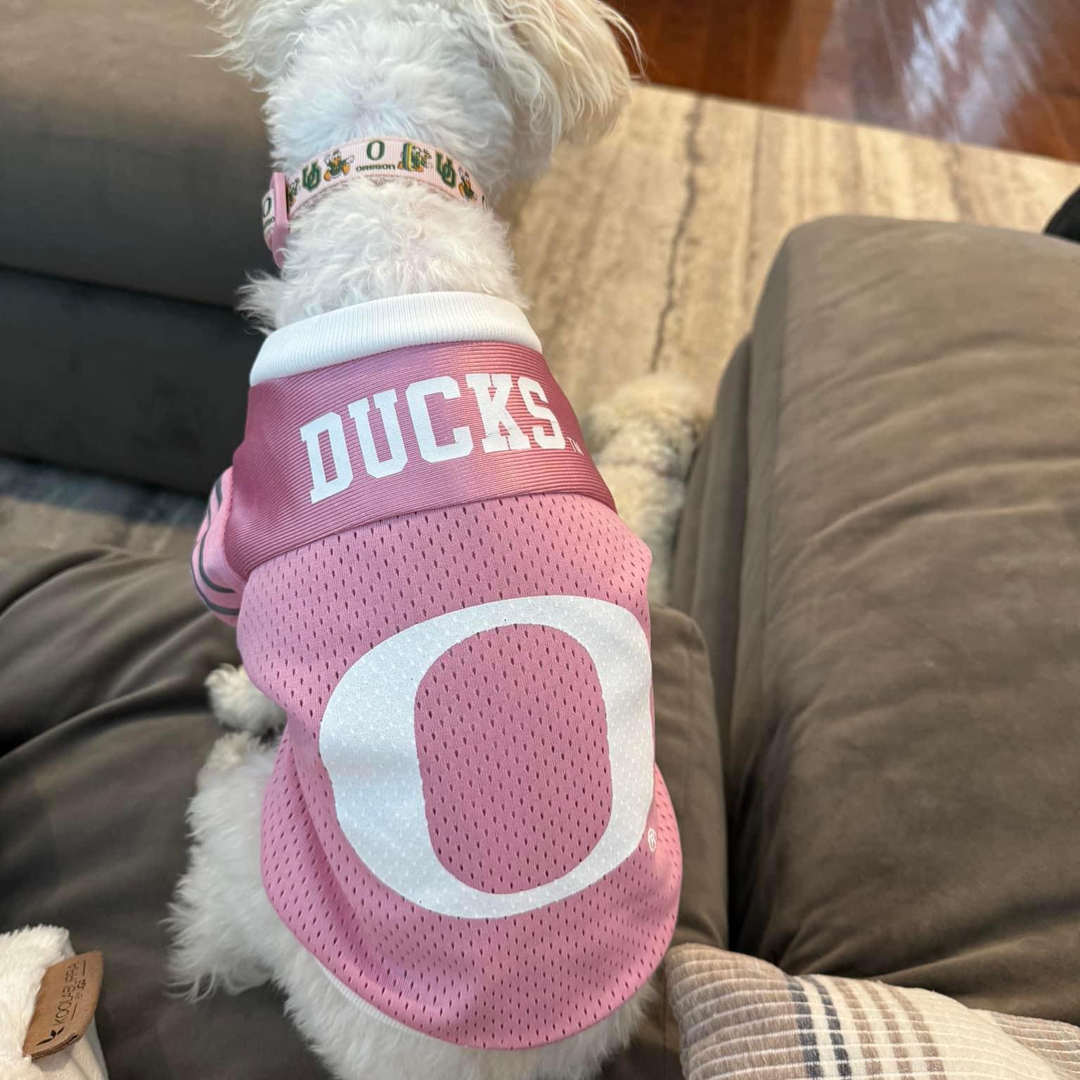Oregon Ducks Fans Forever | As expected the Ducks are now an unranked ...