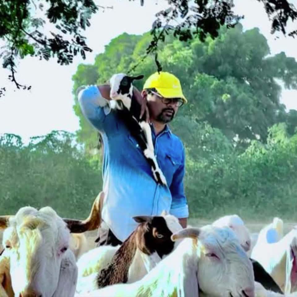 Connect with Rao