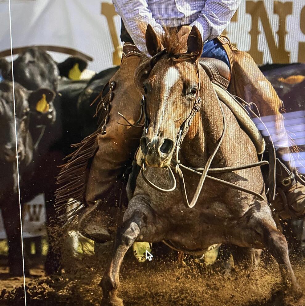 Wiens Ranch Company Inc. | Sedalia CO