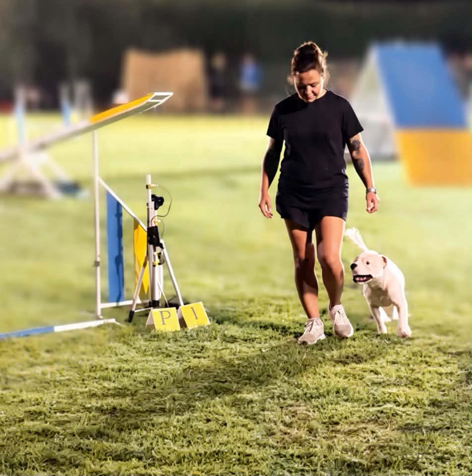 Sei di Perugia se.... | A proposito di Francesco, il cane di Italo ...