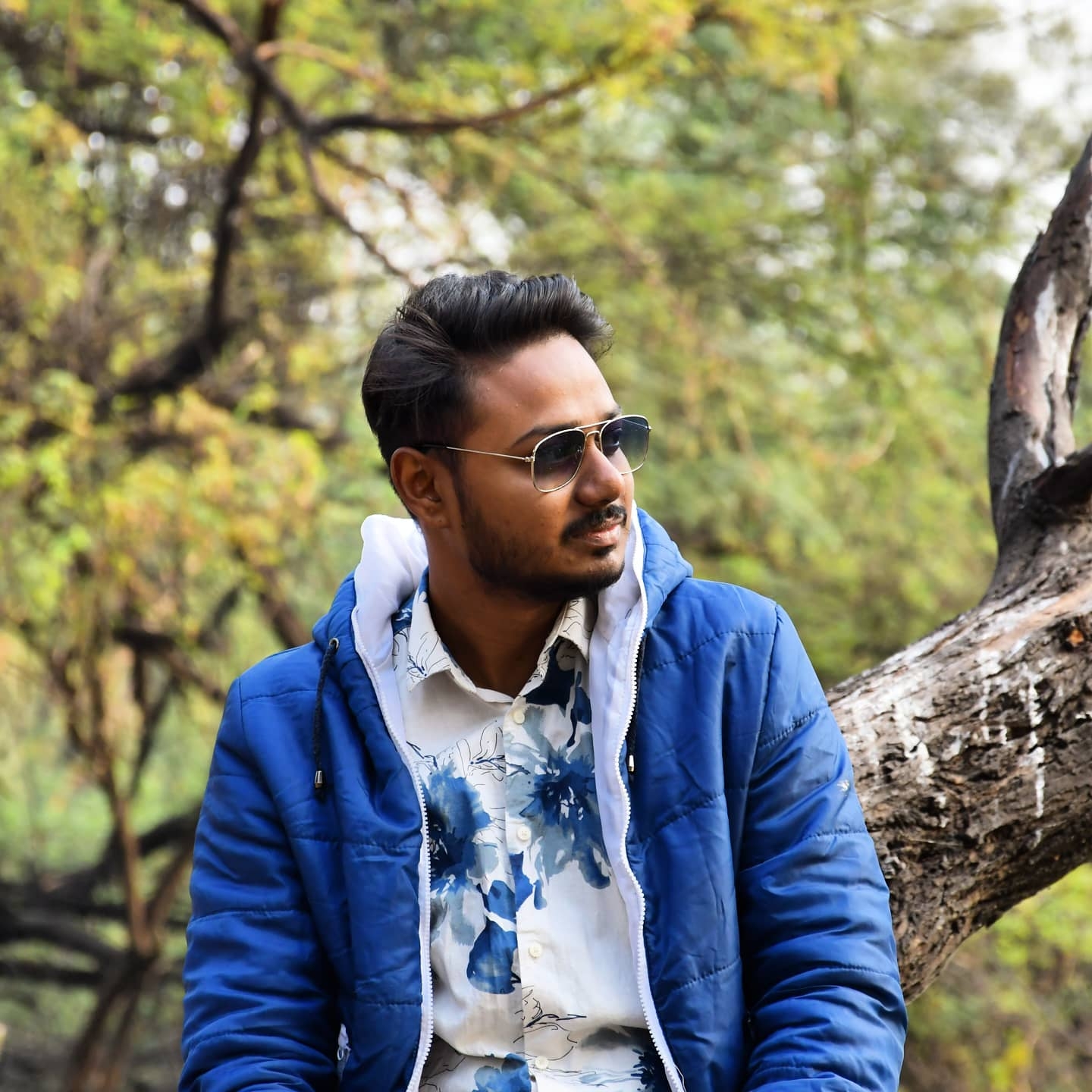 Arif M Rahman