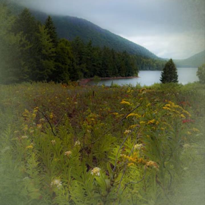 Wisdom and reflection. #artphotography #wisdom #artists # ...