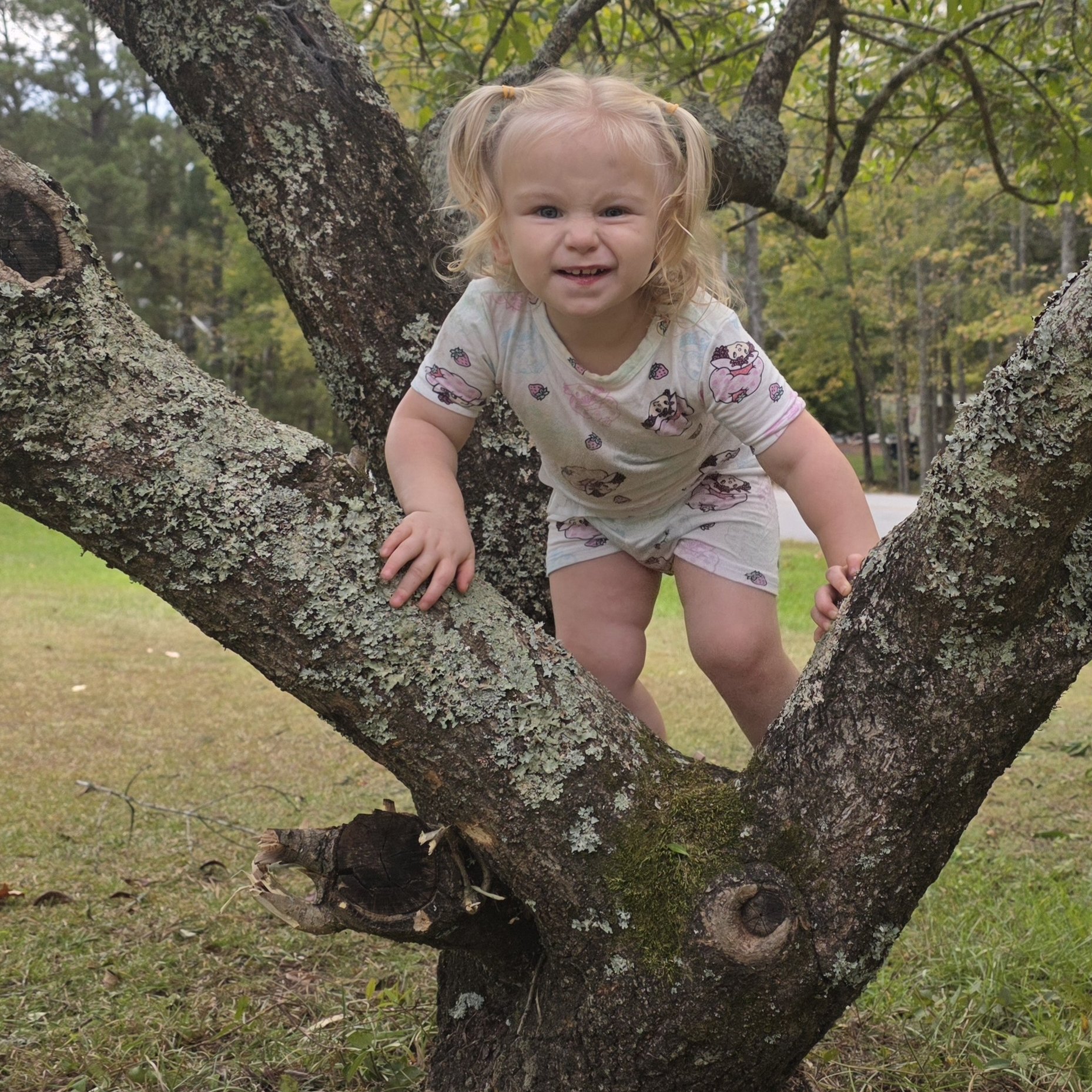 Diaper recommendations needed! 🥺 | Facebook