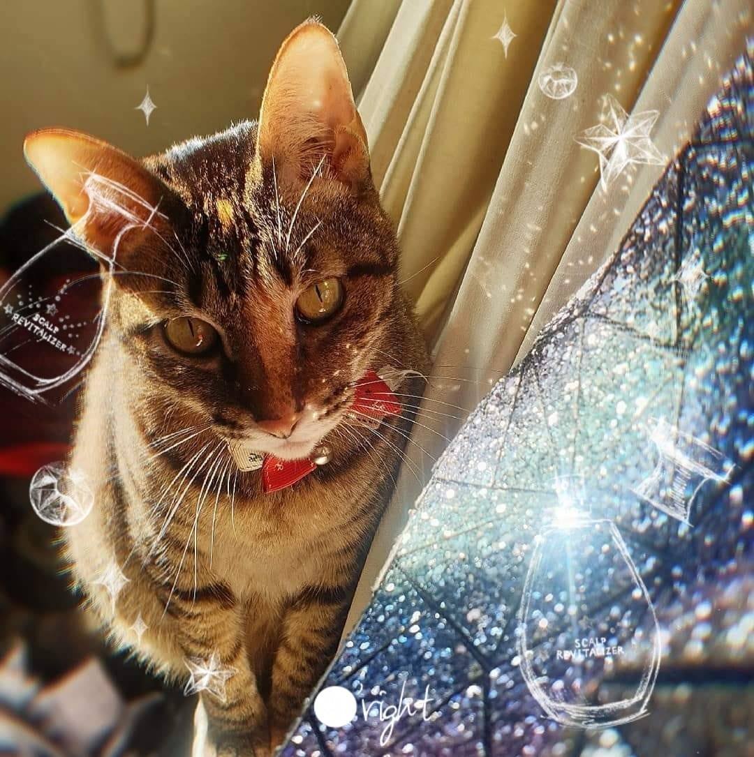 翼 つばさ (@TsubasaAmaya) • Facebook, Connect with friends