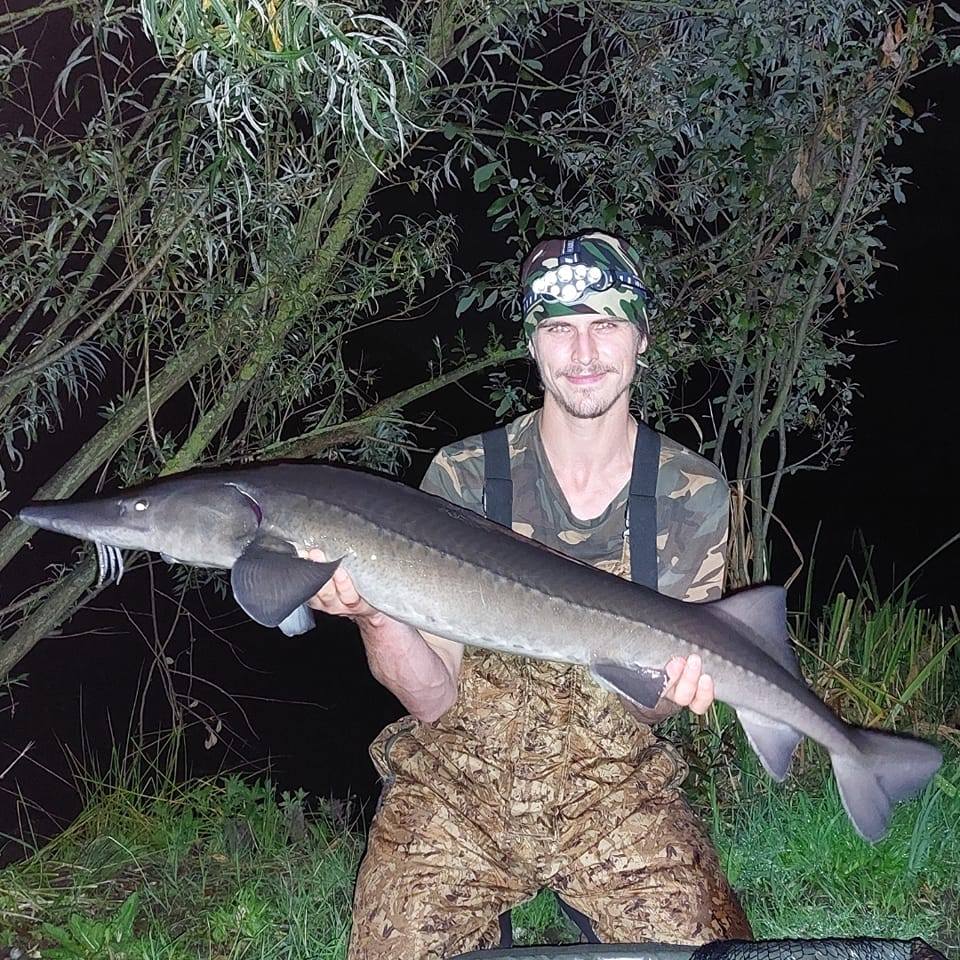 Capital Carp Community | I’ve just bought my first pod (after using ...