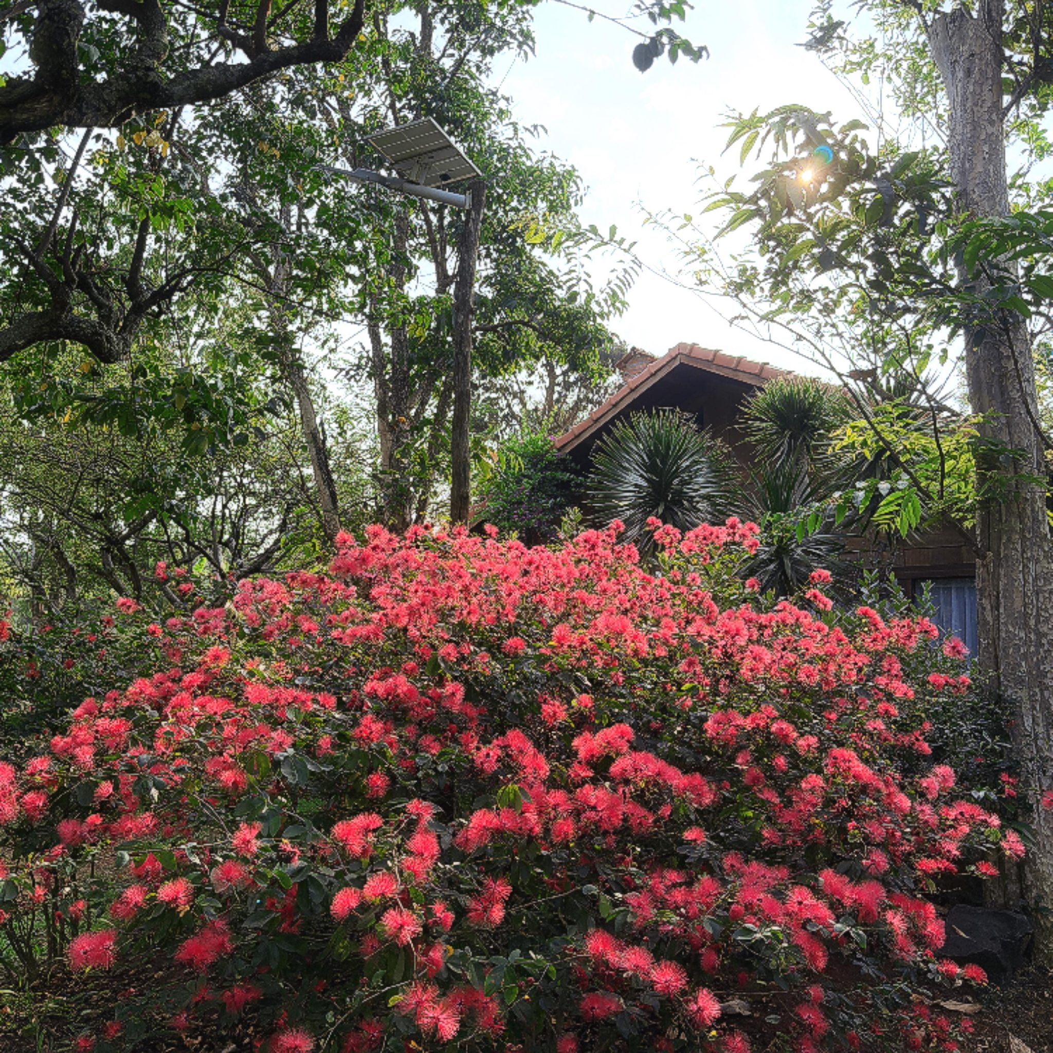 Đạt Lý Coffee Roastery &... - Đạt Lý Coffee Roastery & Farm