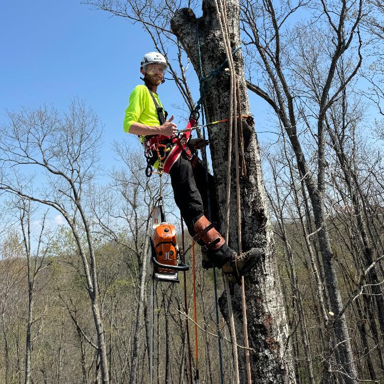 Tree Climbers Facebook Page | Using a clip ,carabiner to rig is stupid ...