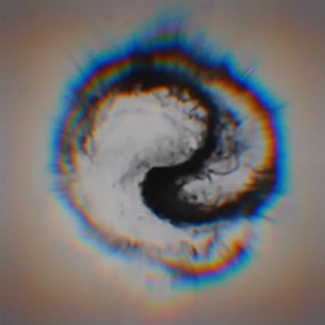 Live emergency update as inner core of category 3 Hurricane Isaias is ...