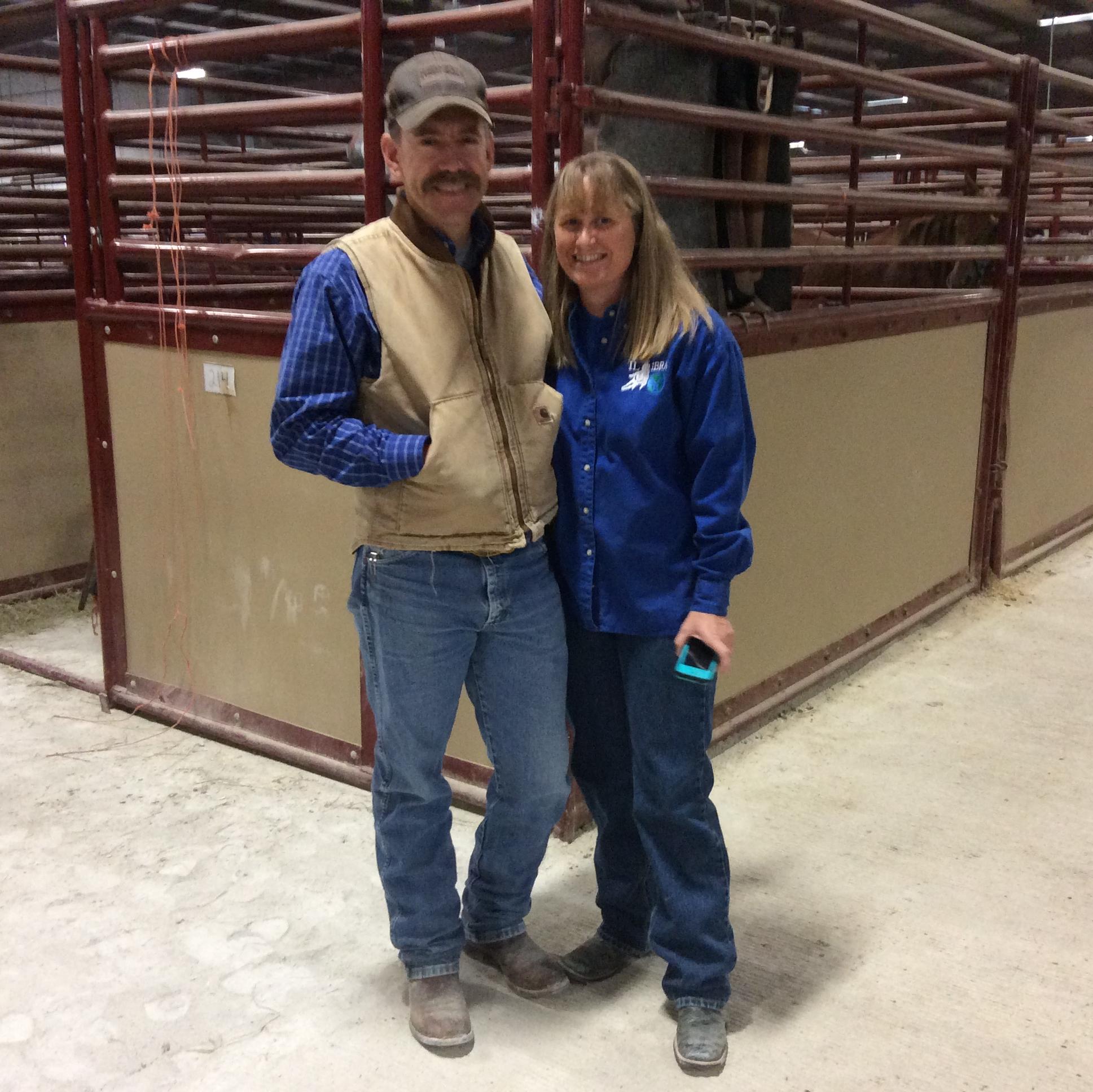 Barrel Racing & Team Roping Horses Buy Sell Trade | Facebook