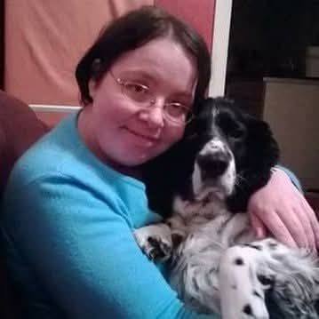 English springer spaniel adoption and rescue community | Facebook