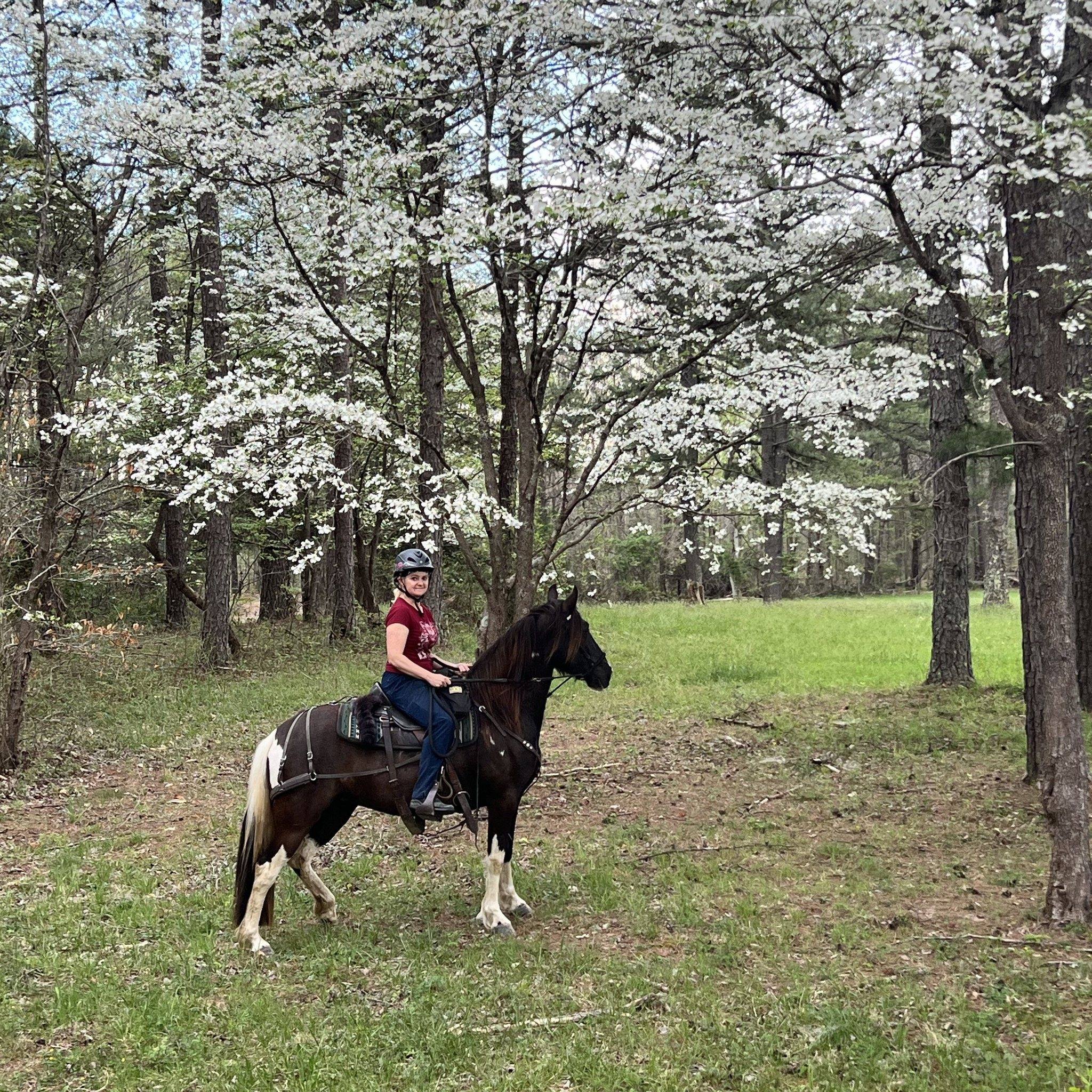 Big South Fork Trail Riders Services And Information | Next weekend, we ...