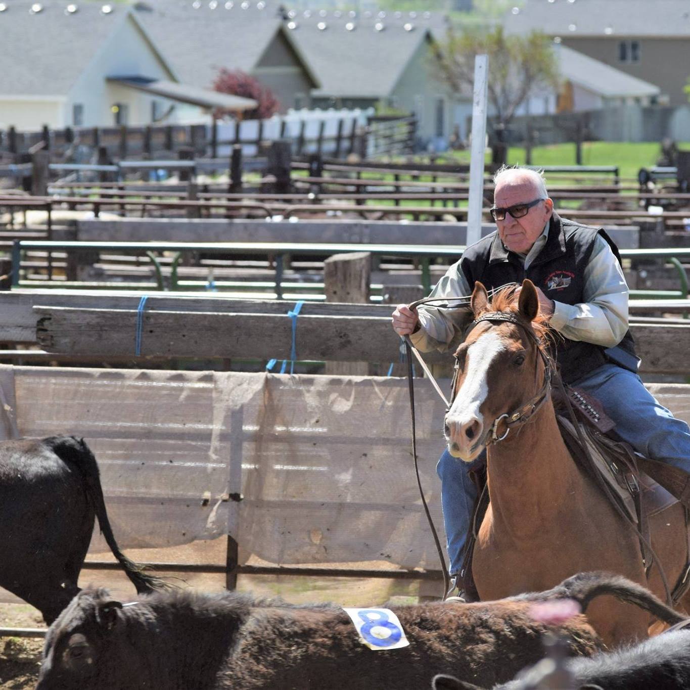 Yakima Valley Team Penning Club | April Amateur buckle winners ...