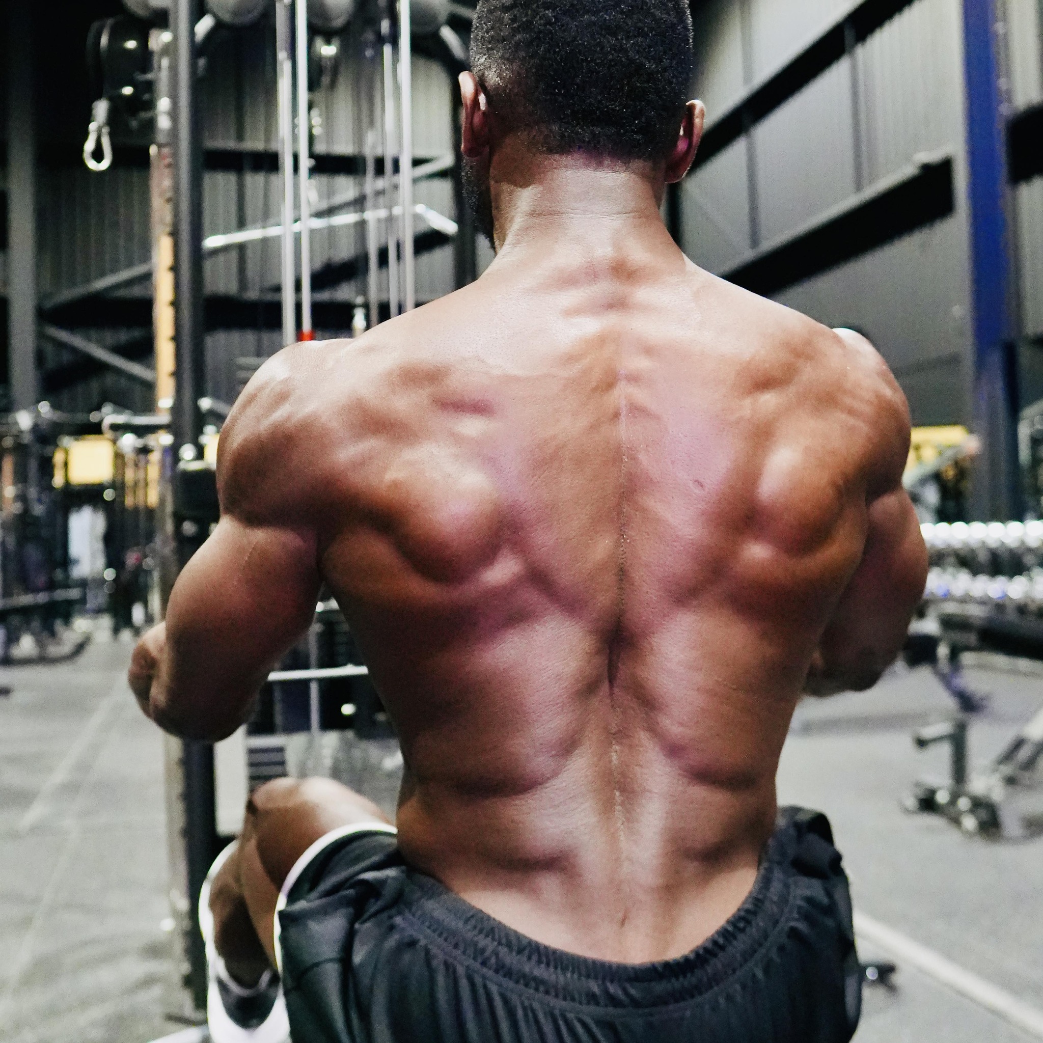 One plate, one bench, tenacious hold Overhead knee-drive to hugged ...