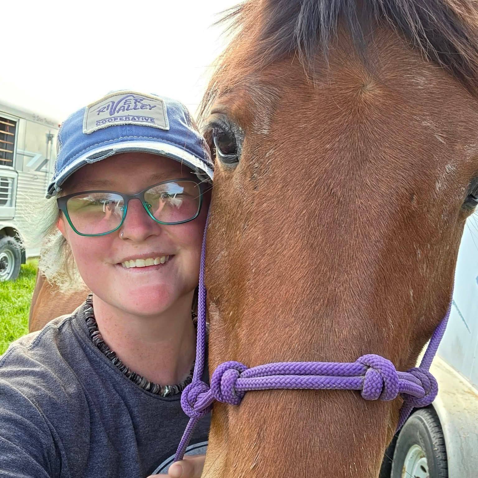 Quad Cities Equine Classifieds | I am looking to find a barn where I ...