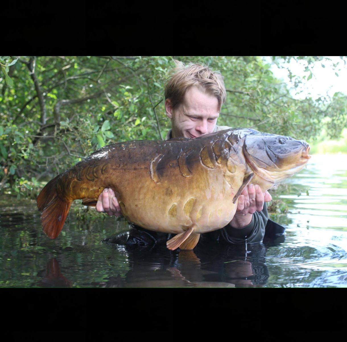 Capital Carp Community | Is this mainline going to be too heavy for ...