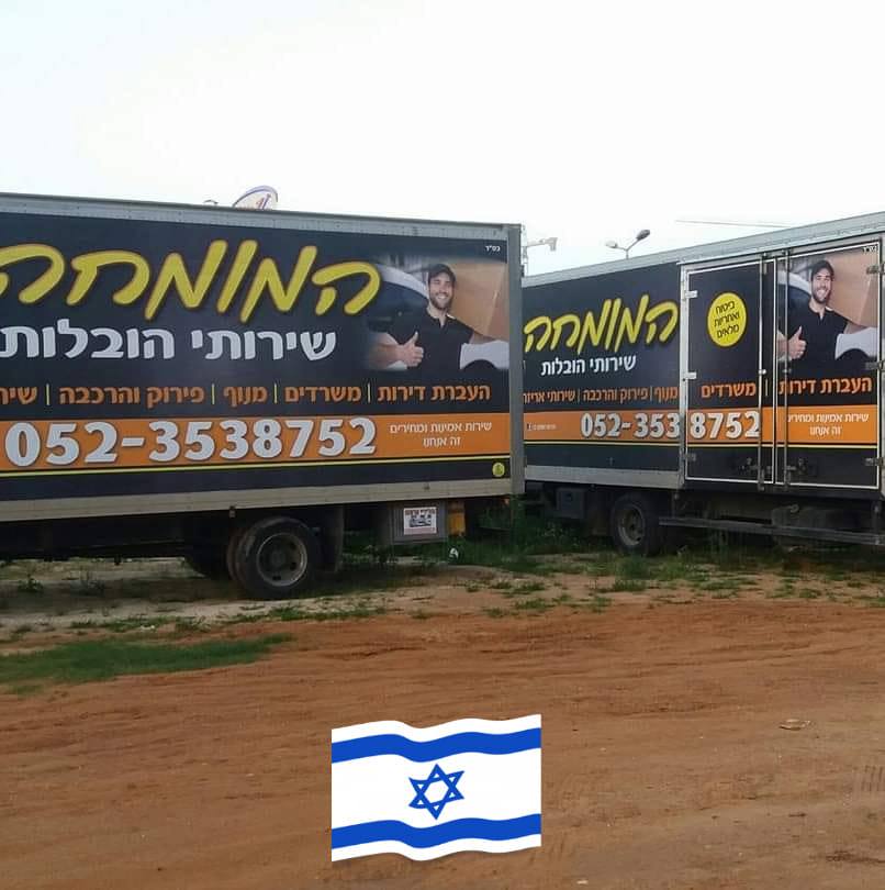 שי לוי