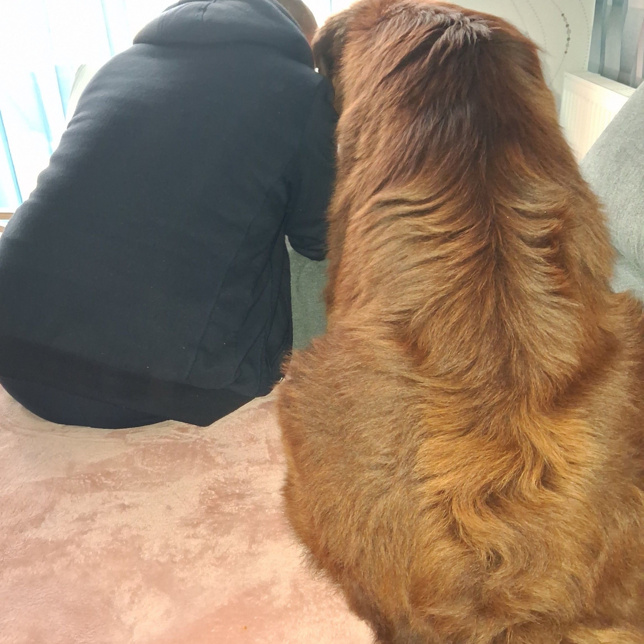 Is this real ? 🧐 #dog #jozodogs #pet #dogs #bigdogs | Jozo Dogs