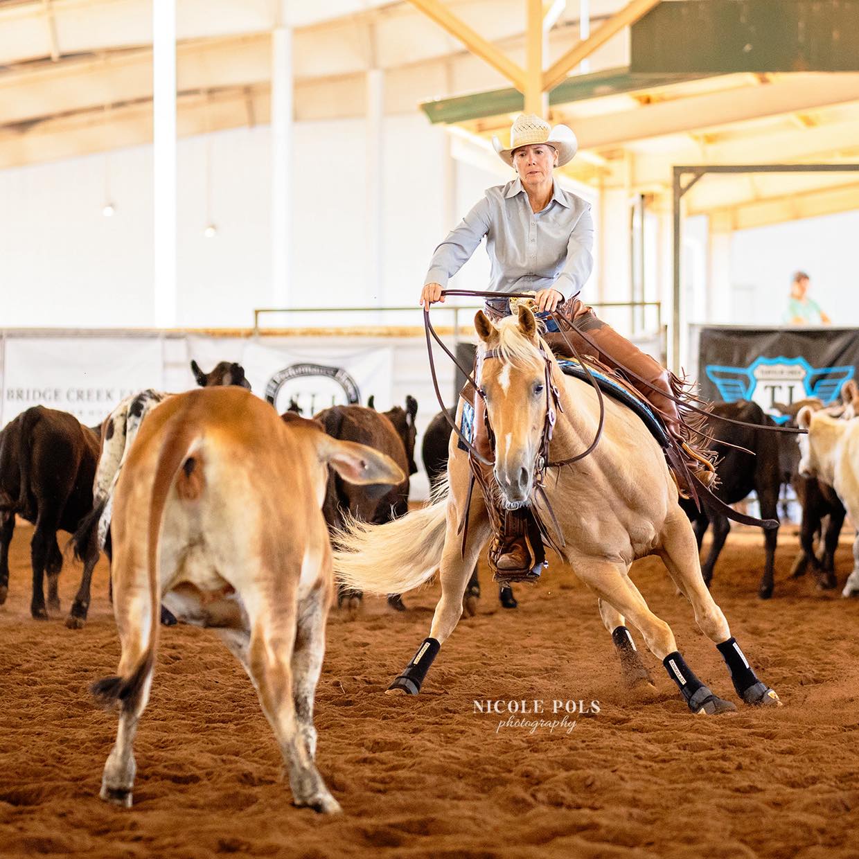 Ruckus Performance Equine | Ashland City TN