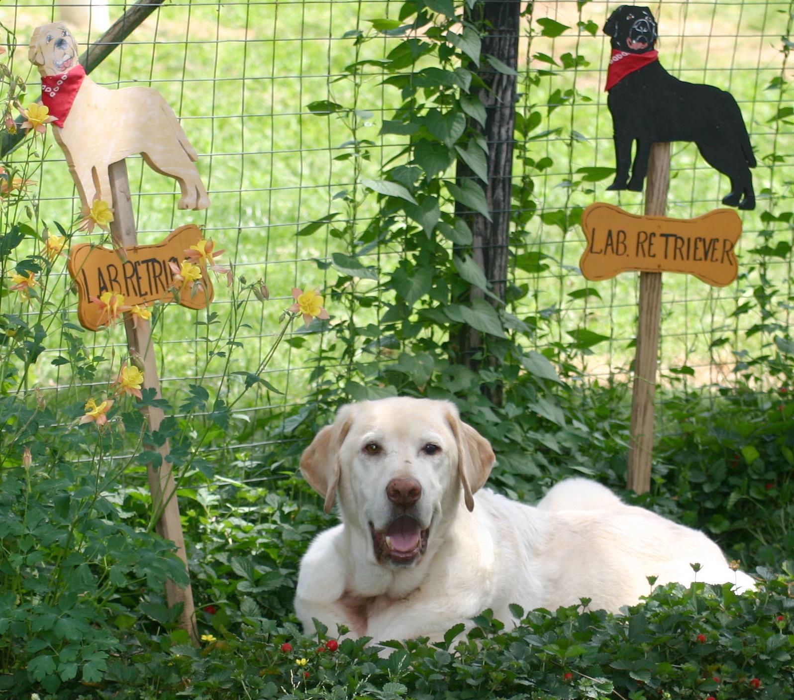 Bad Spelling or Grammar on signs and notices | I was so glad I was one ...