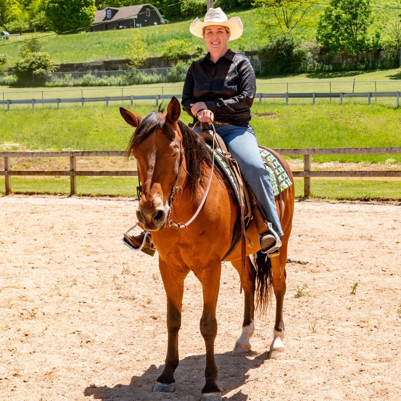 Miniature Horses Looking For Homes | Show me what you have in Ohio that ...