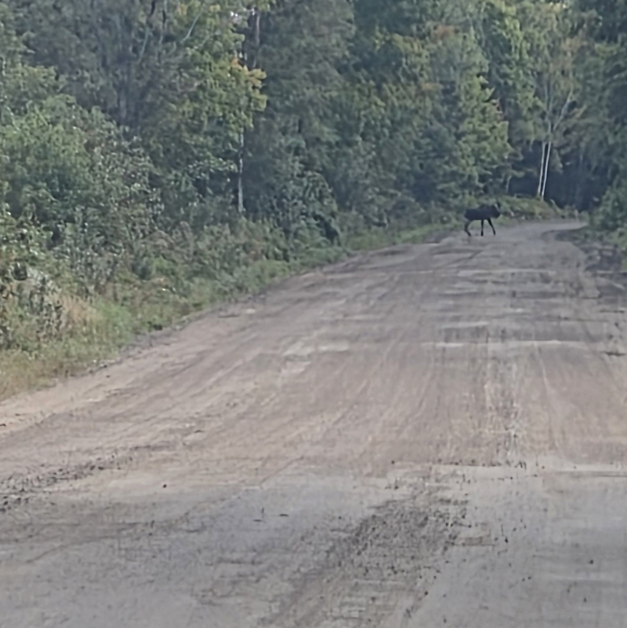Ontario - #BREAKING: Environment Canada has officially found the ...