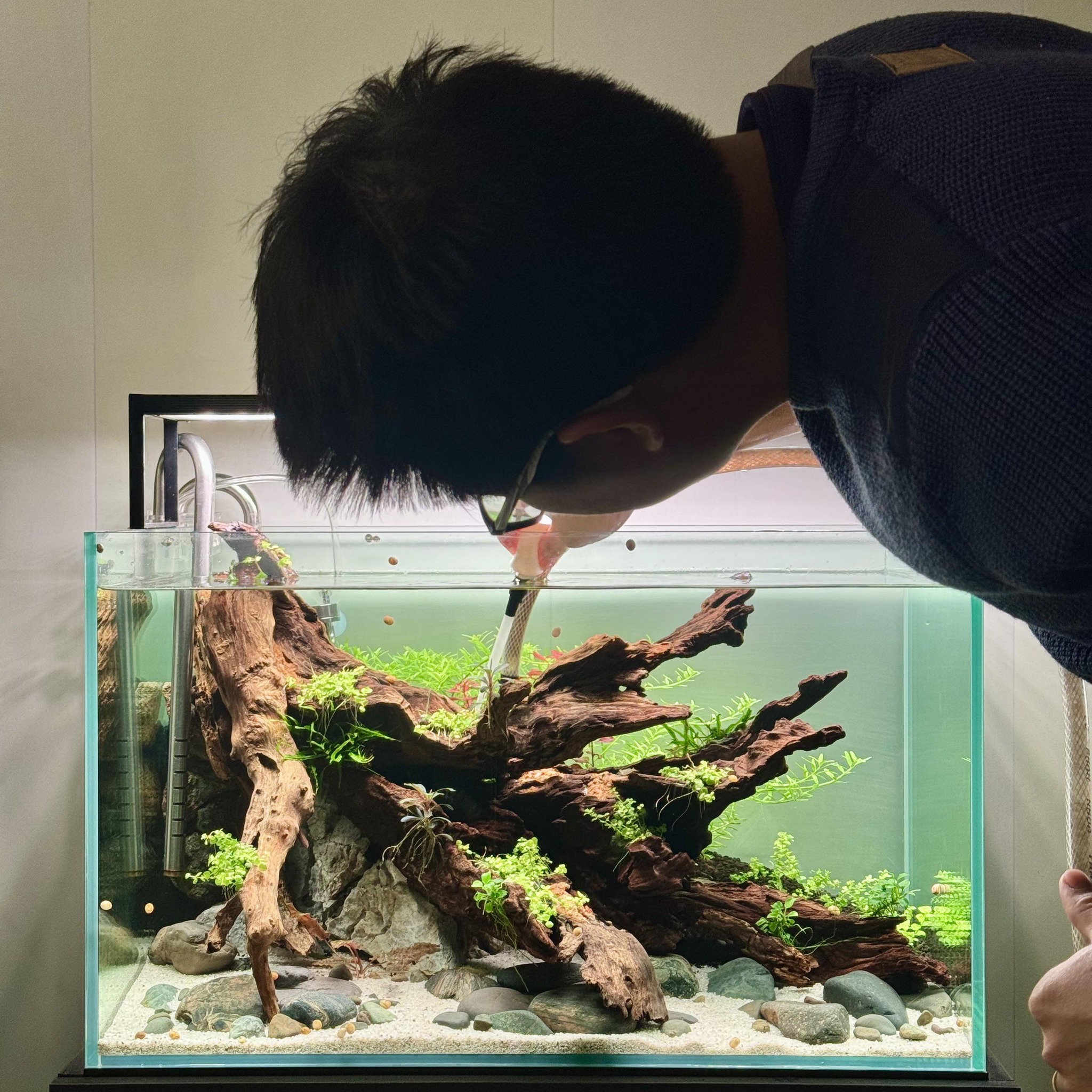 Chiếc thuyền ”hoa ráy” bơi giữa một rừng ráy 🌱 | Dũng Lv