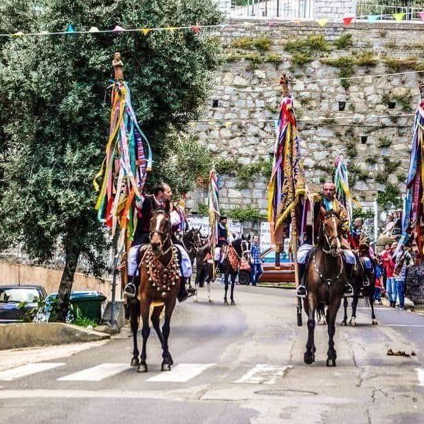 Capo coda cavallo San Teodoro | Palmiro Bulloni