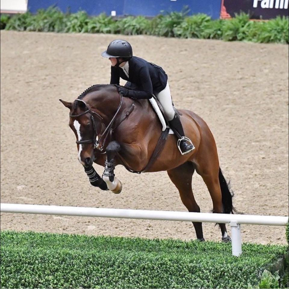 Quad Cities Equine Classifieds | Anyone in the Altona area that does ...