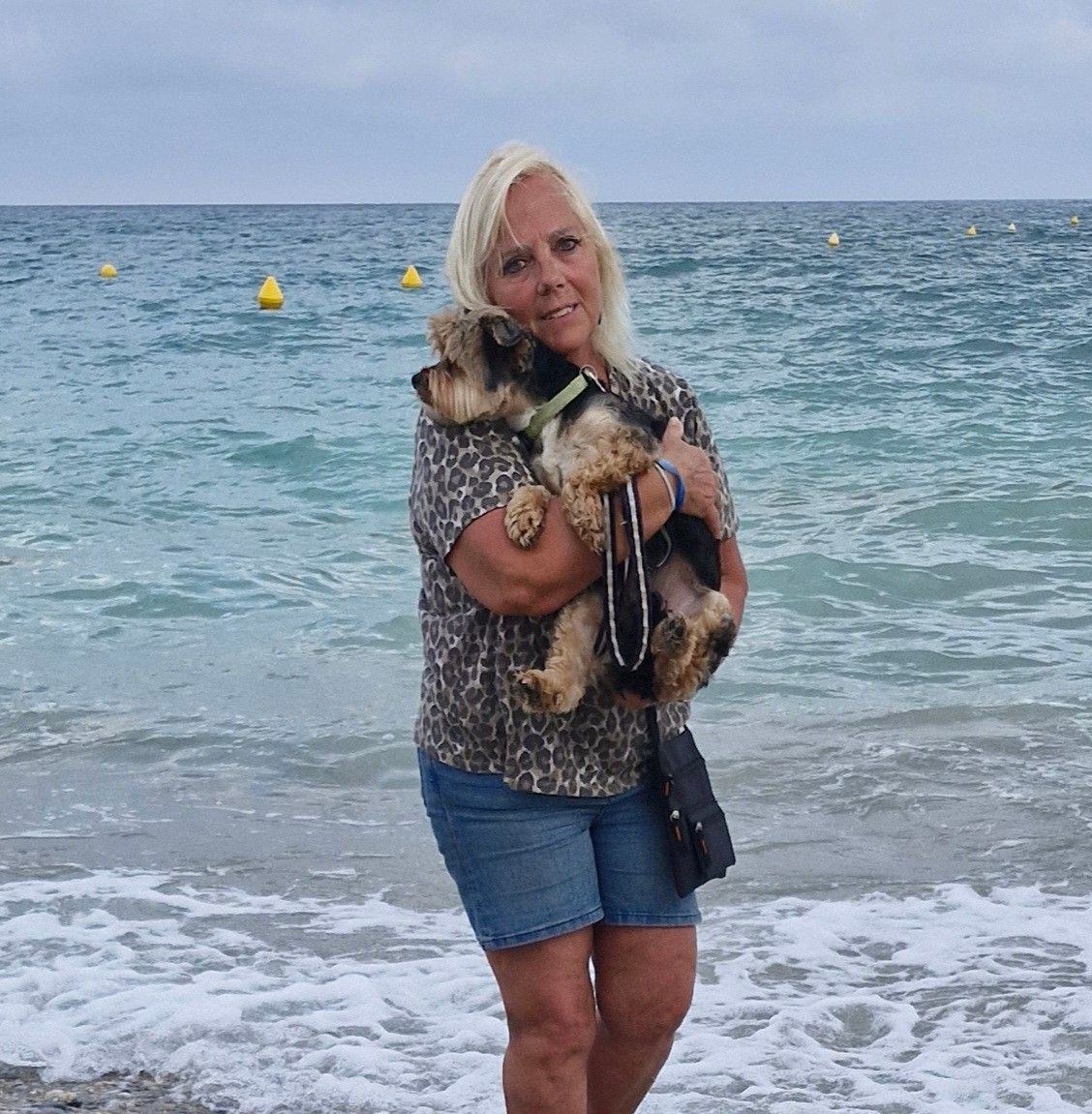Yorkshire Terrier Lovers | I lost my baby this morning, only the ...