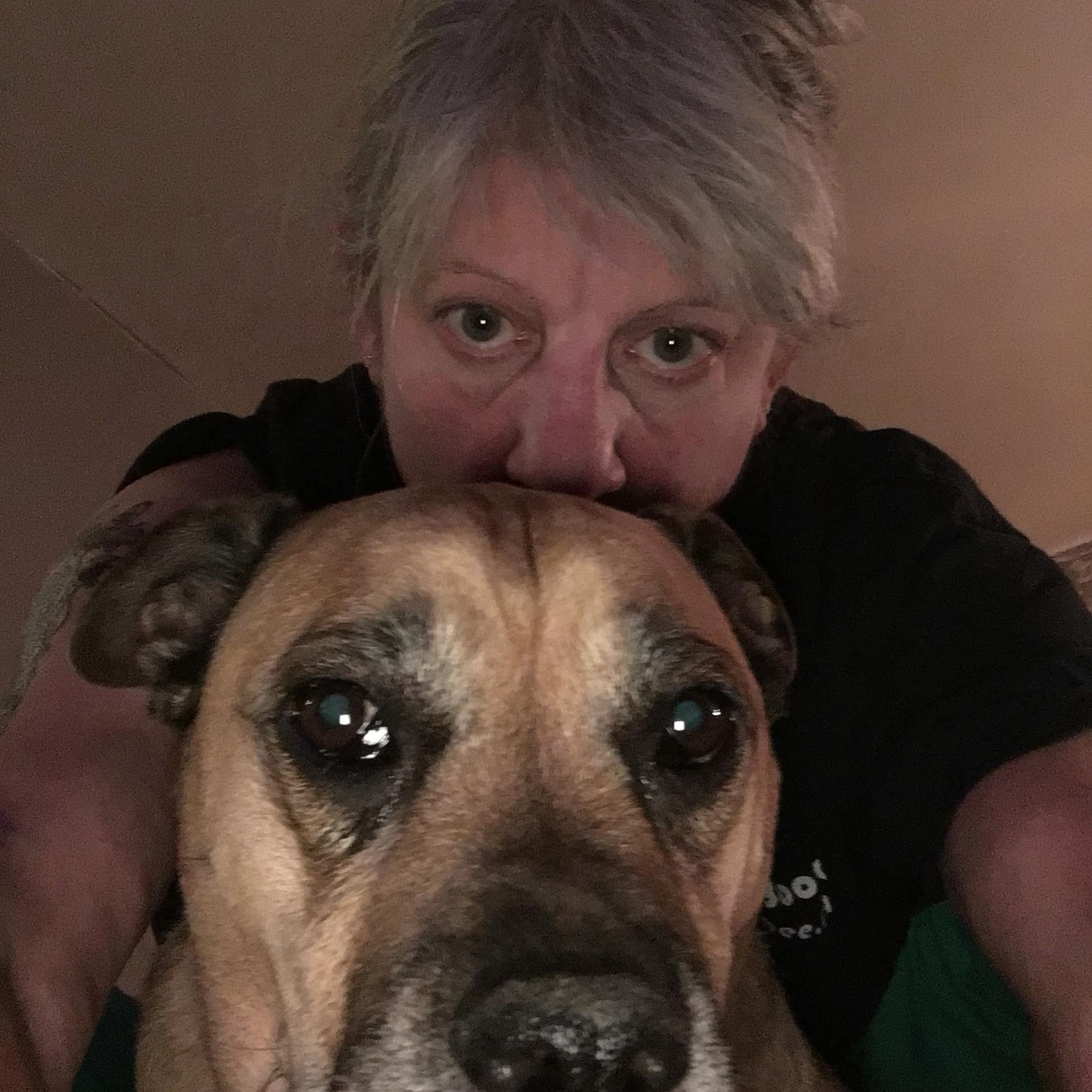 💔 365 DAYS. ONE ENTIRE YEAR. STILL NO HOME. 💔 PLEASE. WE NEED YOU TO ...