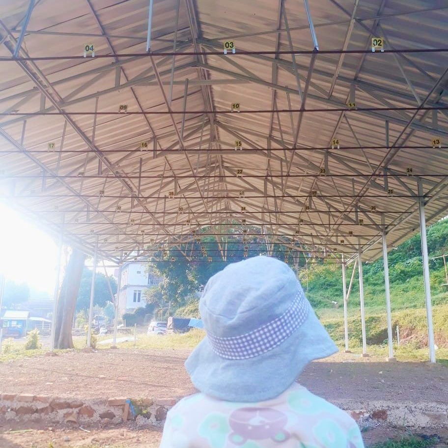 KLI PVJ - Komunitas Lovebird Indonesia Korwil Bandung | Facebook