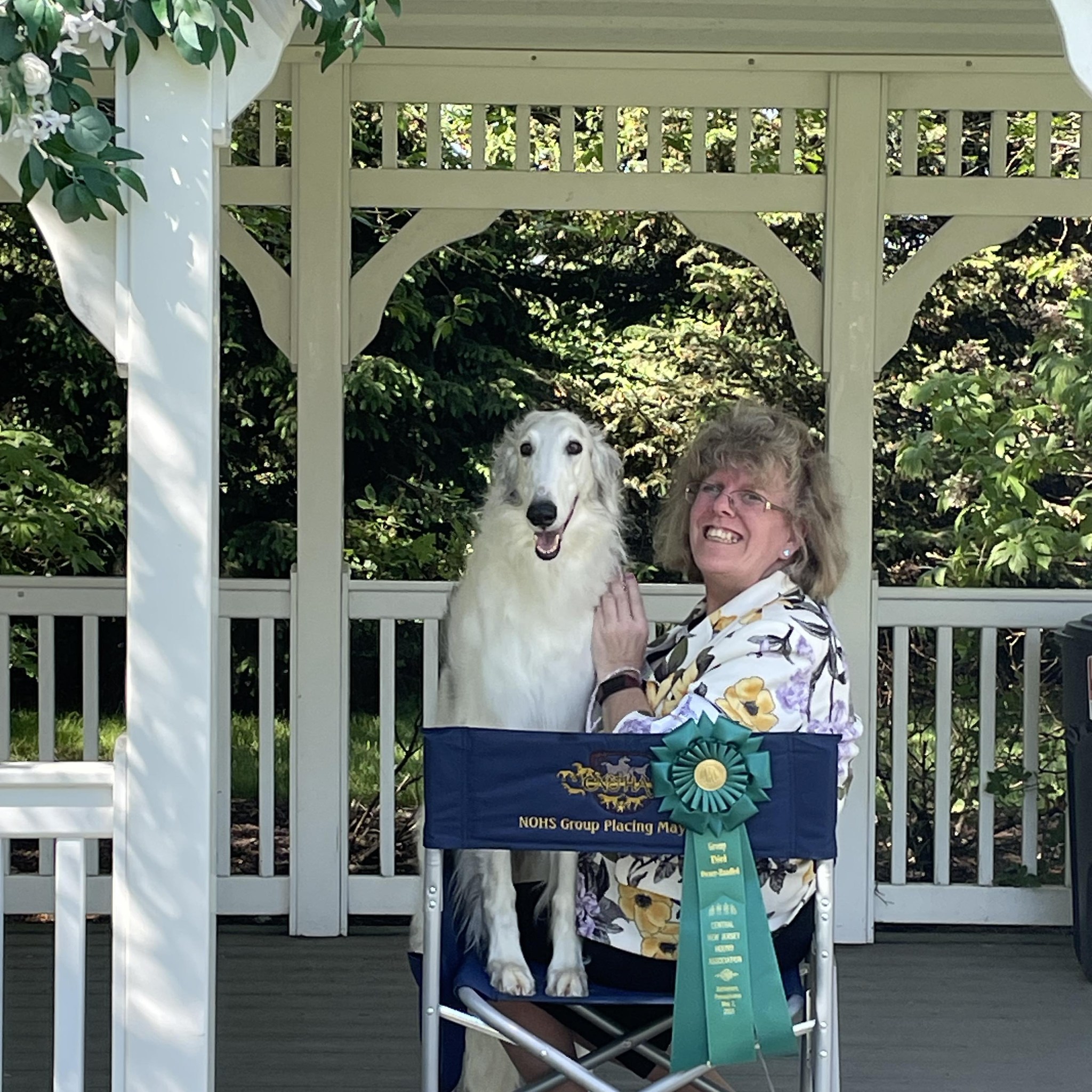 Midwest Borzoi Club | Coursing BOB is Freebie | Facebook