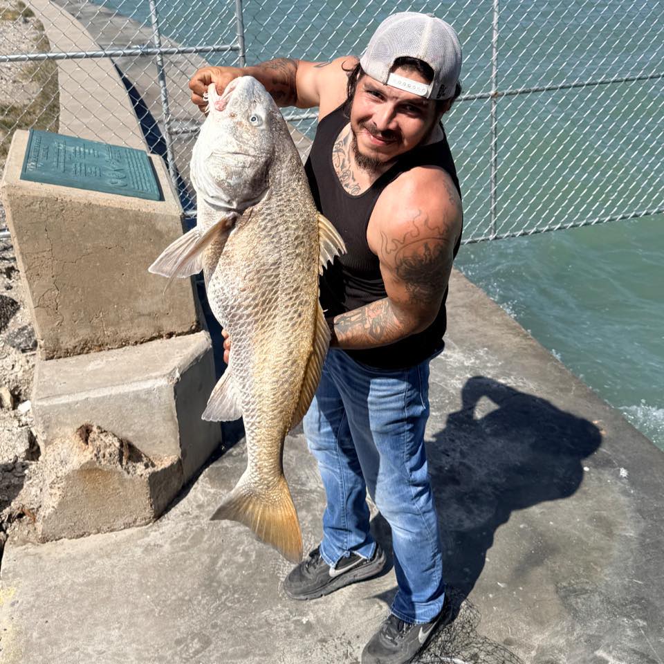 Galveston Talk | I need suggestions for someone to come out and auger ...