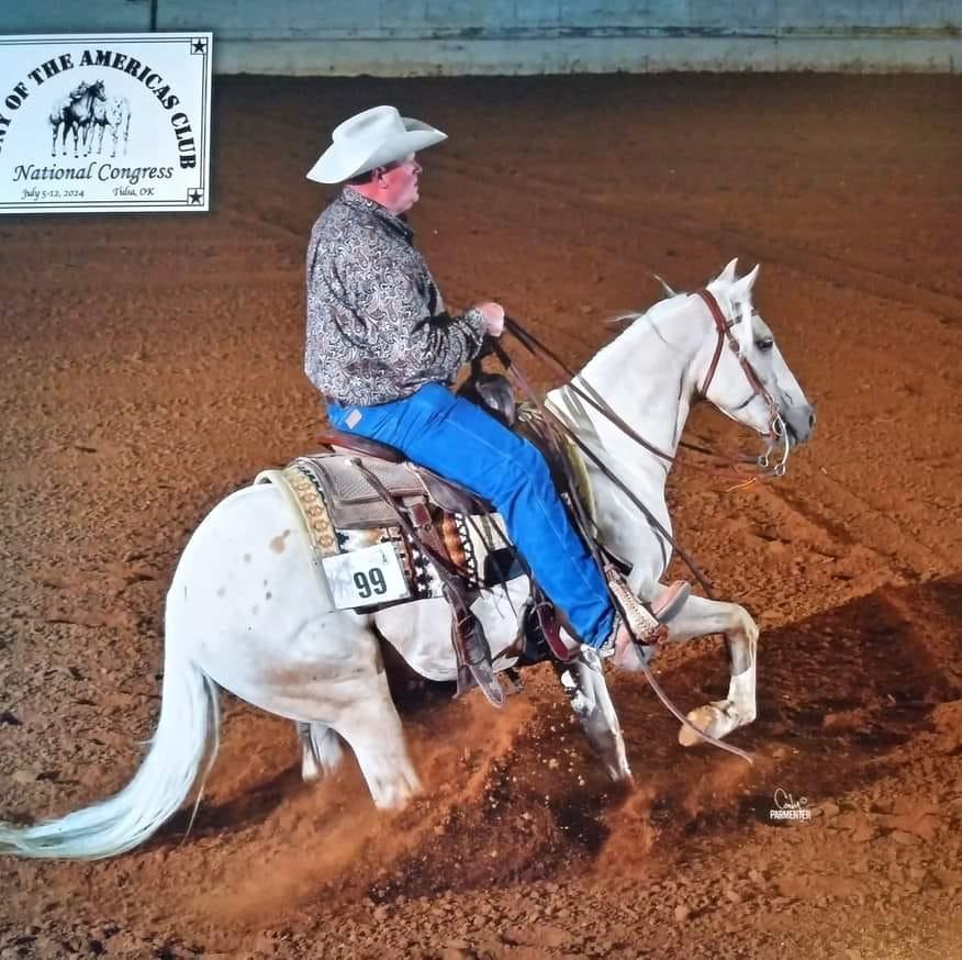 Horse Training Questions, Tips and Supportive Advice | ISO | Facebook