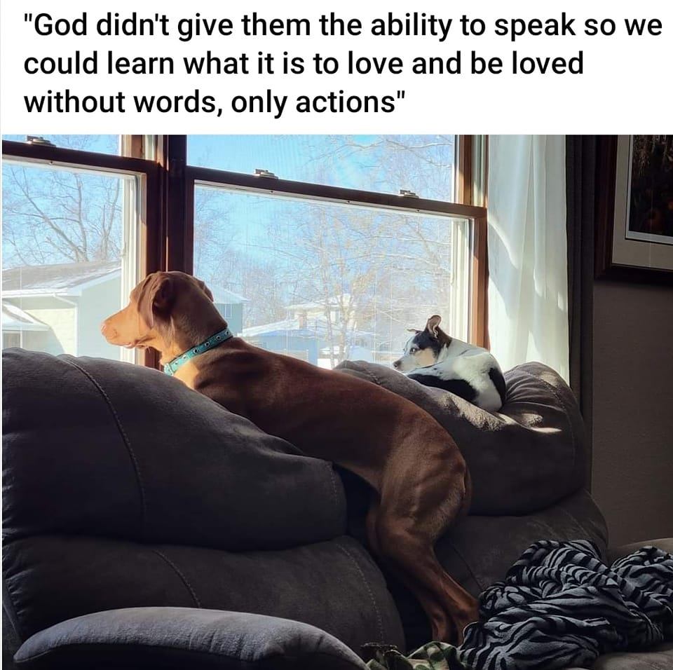 Haley DeHoedt - I’ve struggled to write this post for 8... | Facebook