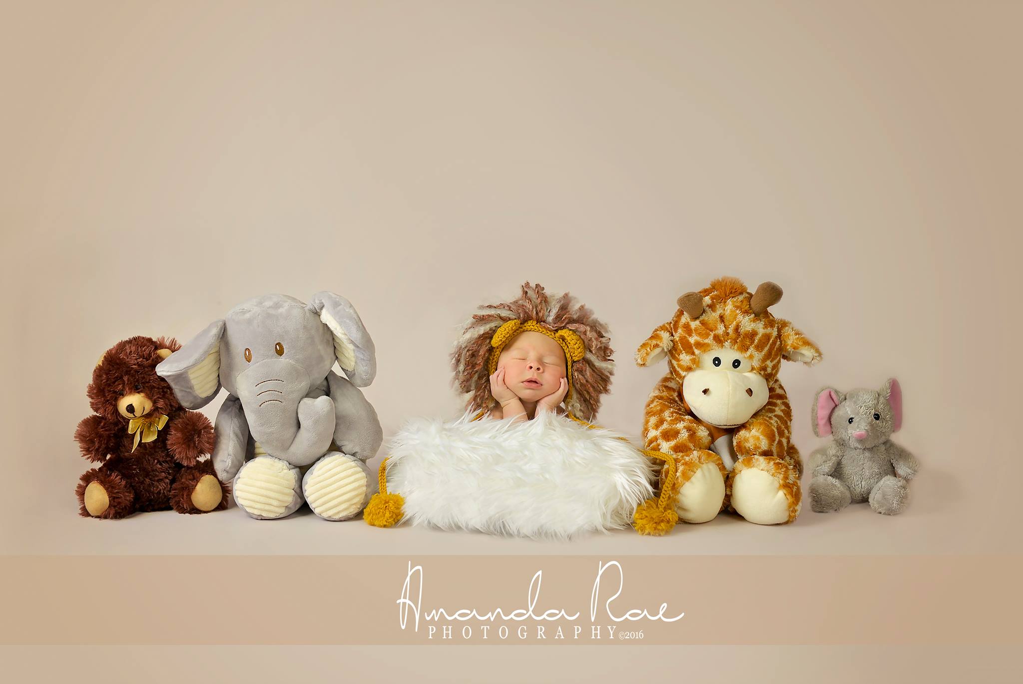 Amanda Rae Photography