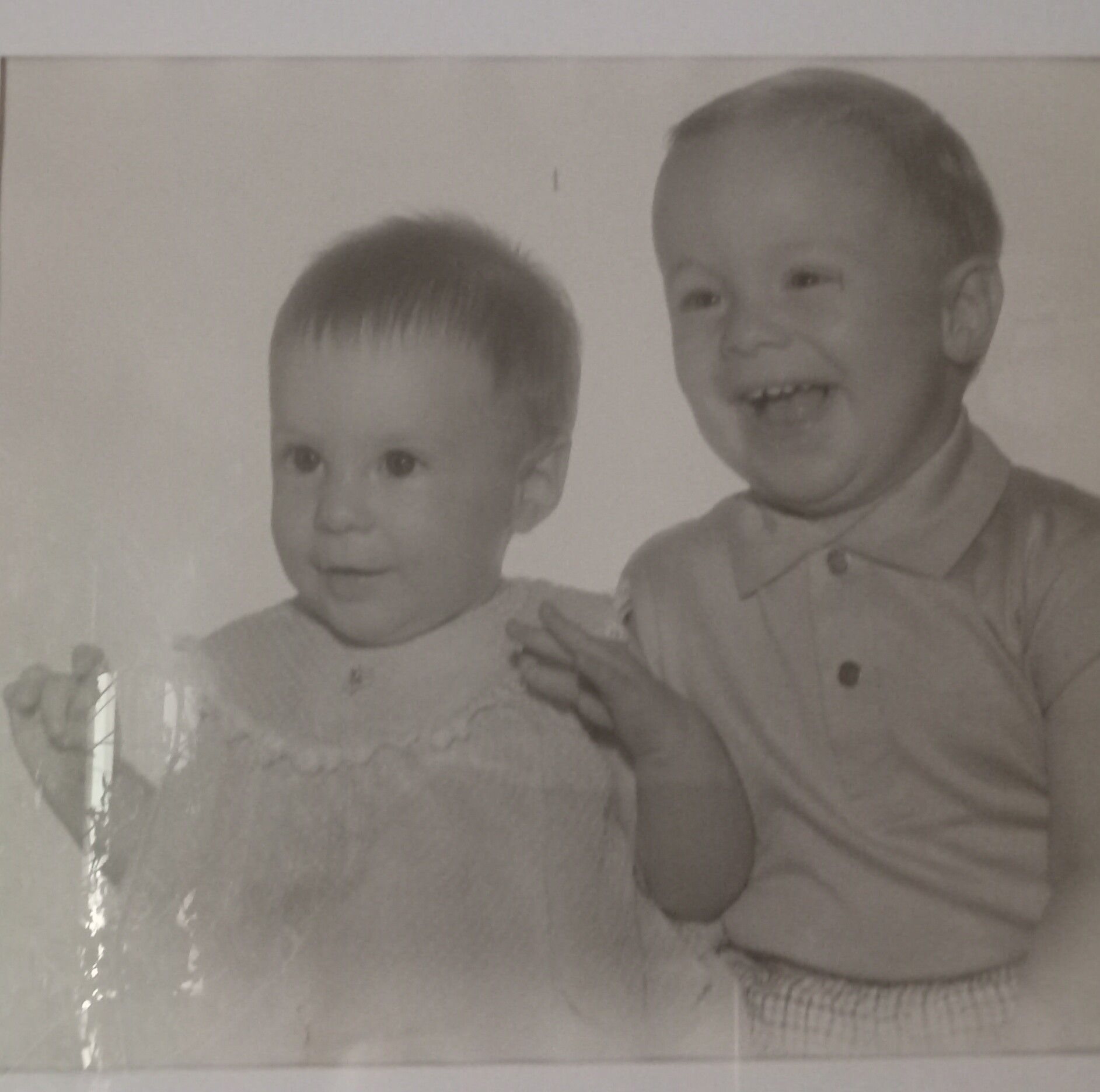 Joni Foster - OK, so last night I was terrorized by a... | Facebook