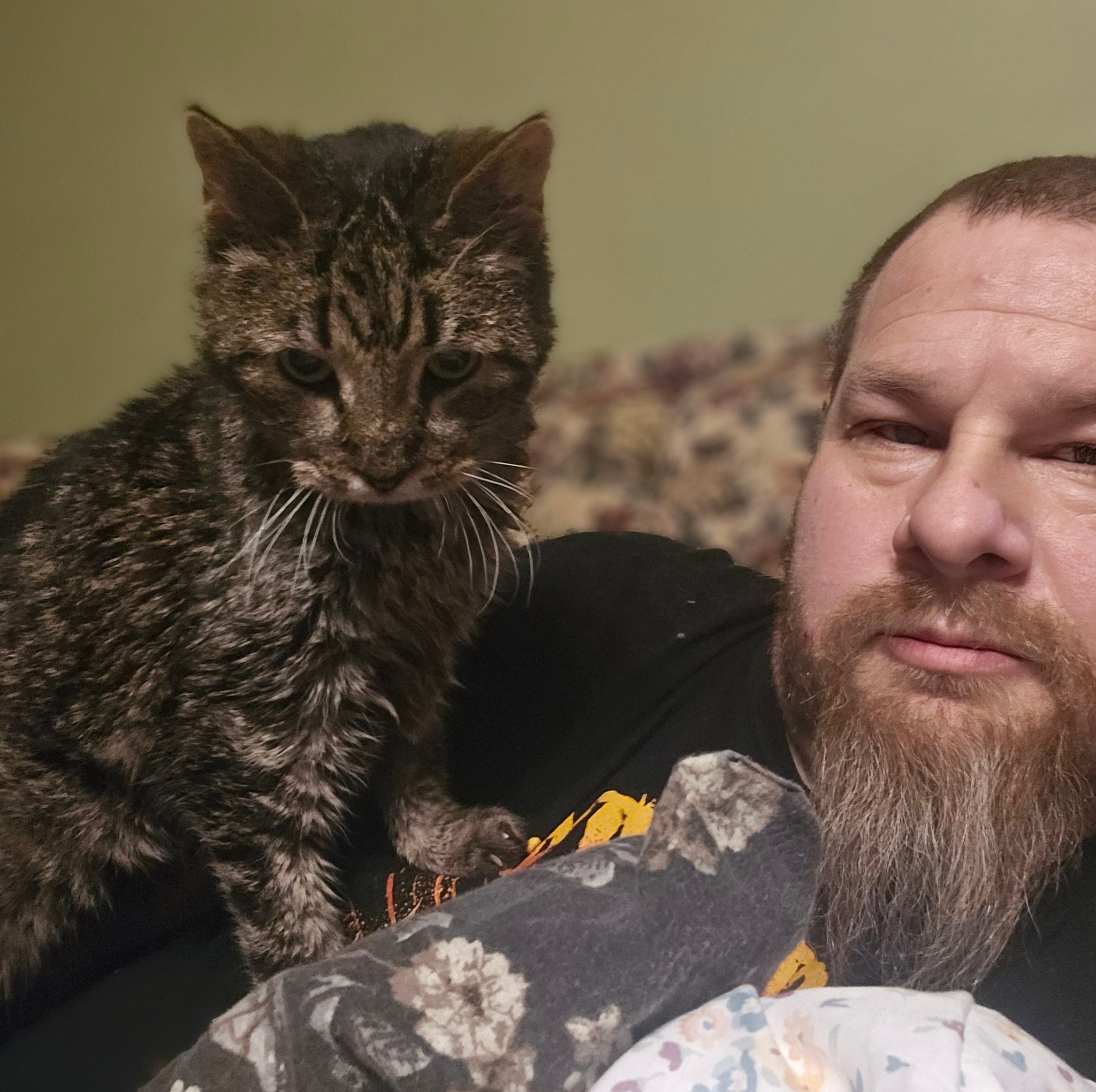 Trans - This is what happened, and it will continue until people do ...