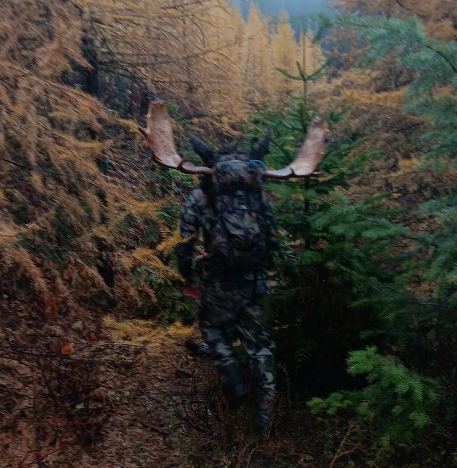 Out hunting and saw this little guy.. would you have tagged him? | Facebook