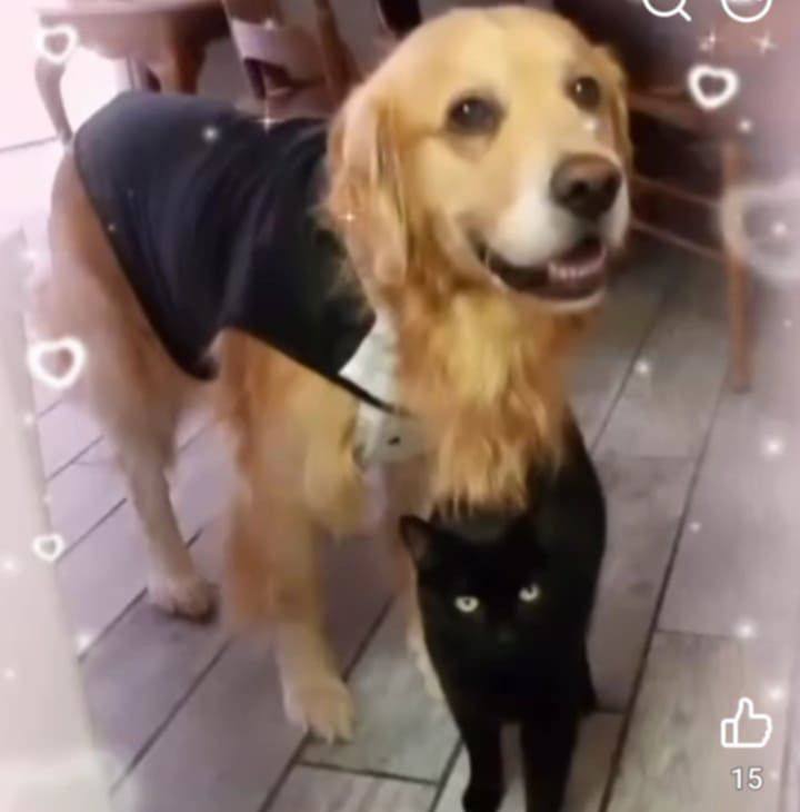 The moment you realize you are really cooked ! | Facebook