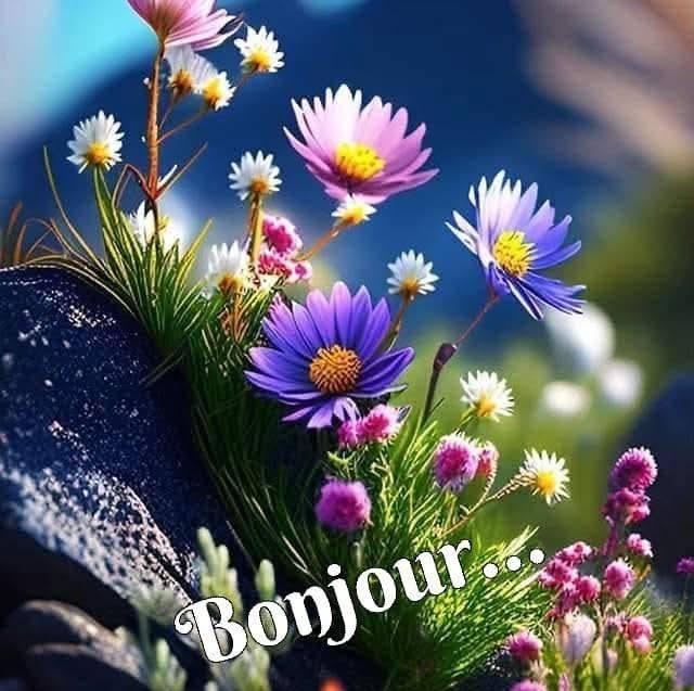 12 coups de midi | Pourquoi cyprien doute | Facebook
