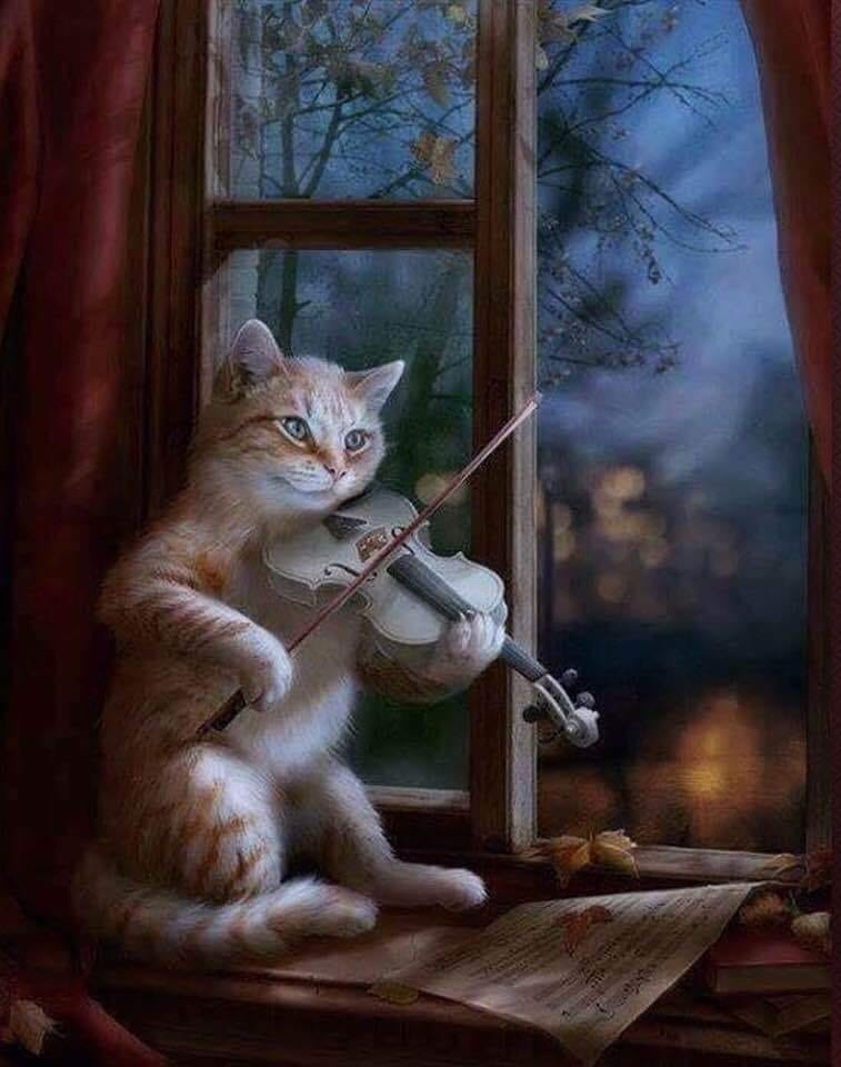 Violin,... - Denise Martel Bovie - String Instrument Lessons | Facebook