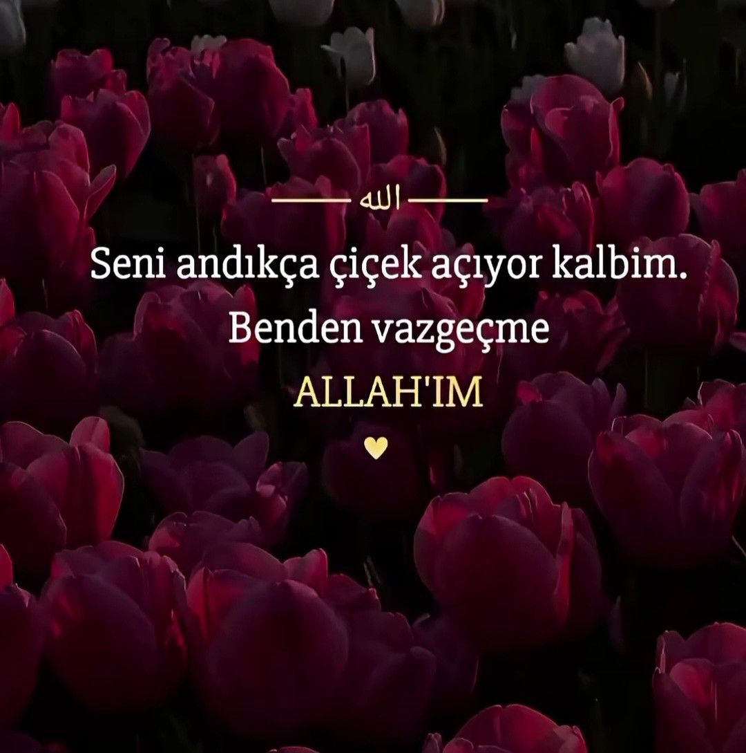 Ülkenin iç işleri diyoruz ama Azerbaycan yönetimi bildiğin bizim 30 yıl ...