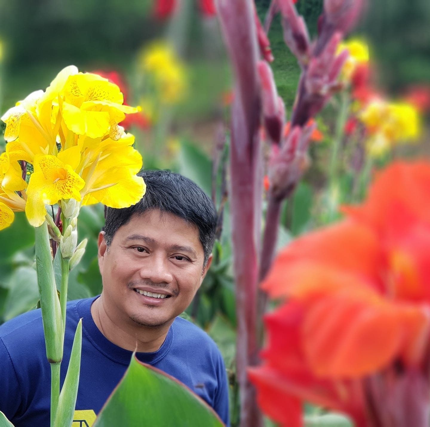 Nonoy Cariño Rafanan