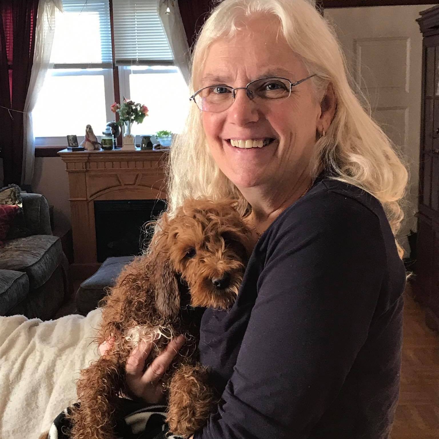 Cockapoo Owners | Hi this is our miniature red cockapoo called Hugo he ...