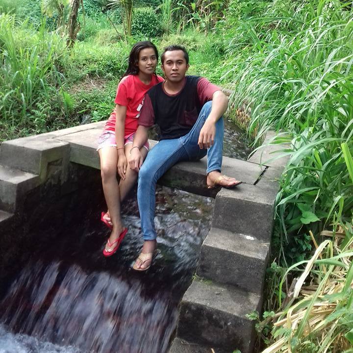Hasil stek si kuning lokal langsung tumbuh bunga #bougenville | Jrink Kig