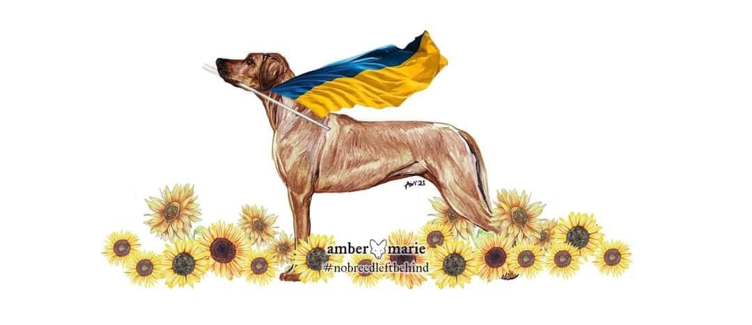 RRCUS - Rhodesian Ridgeback Club of the United States | Hello, I was ...
